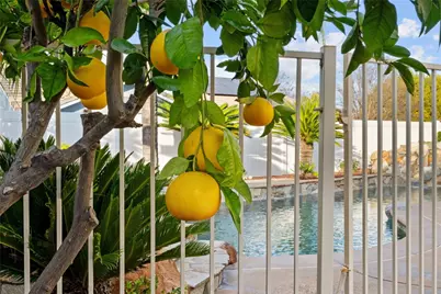 31202 Amsterdam Road, Winchester, CA 92596 - Photo 49