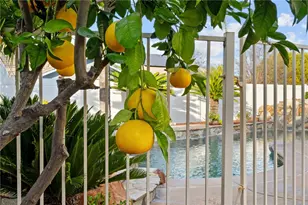 31202 Amsterdam Rd, Winchester, CA 92596 - Photo 49