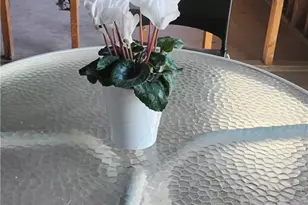 38220 Chuperosa Ln, Cathedral City, CA 92234 - Photo 13