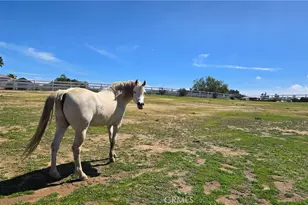 19315 Avenida Cordoba, Murrieta, CA 92562 - Photo 65