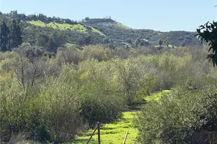 5492 Villas Dr, Bonsall, CA 92003 - Photo 37