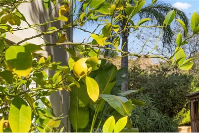 27570 Fern Pine Way, Murrieta, CA 92562 - Photo 51