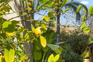 27570 Fern Pine Way, Murrieta, CA 92562 - Photo 51