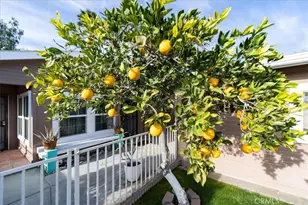 35493 Sand Rock, Thousand Palms, CA 92276 - Photo 39