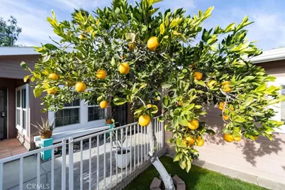 35493 Sand Rock, Thousand Palms, CA 92276 - Photo 39