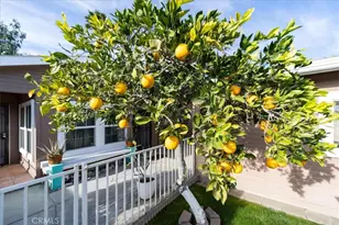 35493 Sand Rock, Thousand Palms, CA 92276 - Photo 39