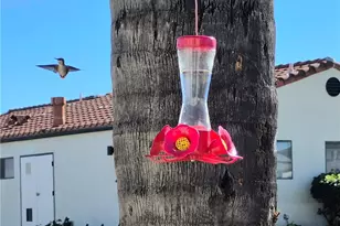 1295 S Cawston, Hemet, CA 92545 - Photo 25