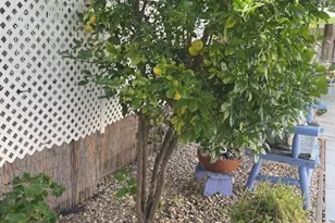 13962 Magnolia Ave, Poway, CA 92064 - Photo 19