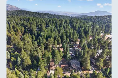 31351 Firwood Drive, Running Springs, CA 92382 - Photo 39
