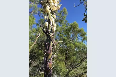 0 Upper Valley Road, Anza, CA 92539 - Photo 37