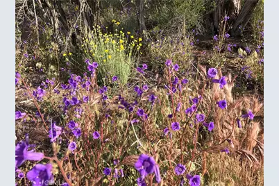 0 Upper Valley Road, Anza, CA 92539 - Photo 35