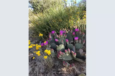 0 Upper Valley Road, Anza, CA 92539 - Photo 29