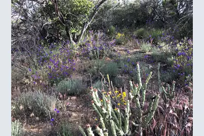 0 Upper Valley Road, Anza, CA 92539 - Photo 33