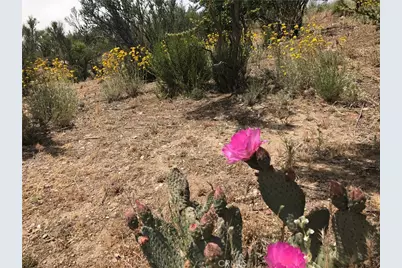 0 Upper Valley Road, Anza, CA 92539 - Photo 31