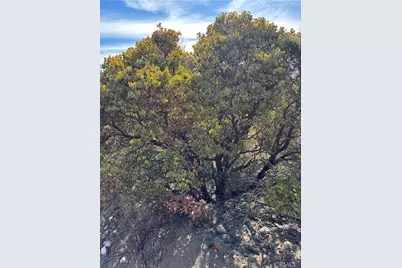 0 Upper Valley Road, Anza, CA 92539 - Photo 11