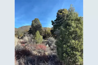 0 Upper Valley Road, Anza, CA 92539 - Photo 19