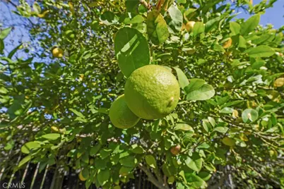 31656 Haute Court, Winchester, CA 92596 - Photo 35