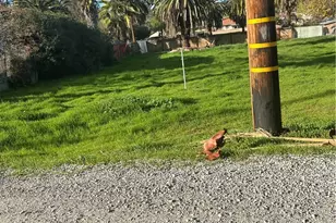 0 Riverside Dr, Lake Elsinore, CA 92530 - Photo 1