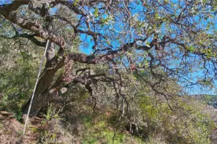 0 3 Vuelta Grande Rd, Temecula, CA 92590 - Photo 35