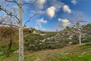 17191 Greentree Dr, Riverside, CA 92503 - Photo 45