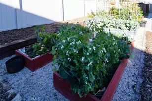 31723 Constellation, Menifee, CA 92586 - Photo 53