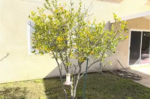 33843 Petunia St, Murrieta, CA 92563 - Photo 39