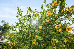 569 Overleaf, San Jacinto, CA 92582 - Photo 53