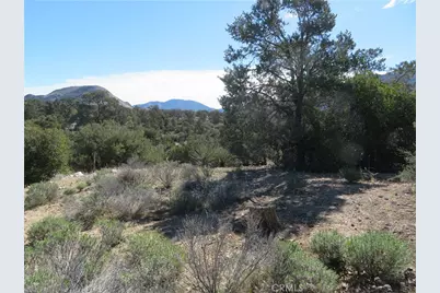 155 Lot #155 Buckthorn, Mountain Center, CA 92561 - Photo 5