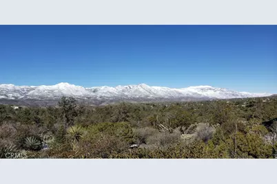 155 Lot #155 Buckthorn, Mountain Center, CA 92561 - Photo 19