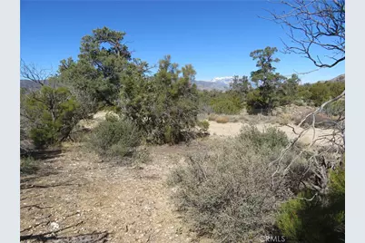 155 Lot #155 Buckthorn, Mountain Center, CA 92561 - Photo 15