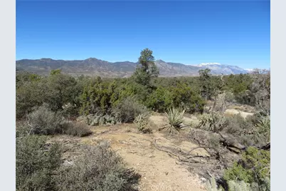 155 Lot #155 Buckthorn, Mountain Center, CA 92561 - Photo 9