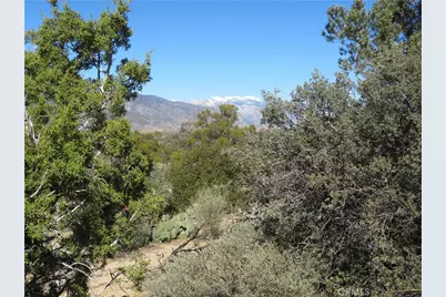 155 Lot #155 Buckthorn, Mountain Center, CA 92561 - Photo 1