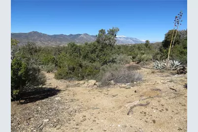 155 Lot #155 Buckthorn, Mountain Center, CA 92561 - Photo 11