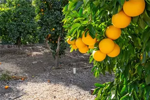 25805 Avenida Del Oro, Temecula, CA 92590 - Photo 73