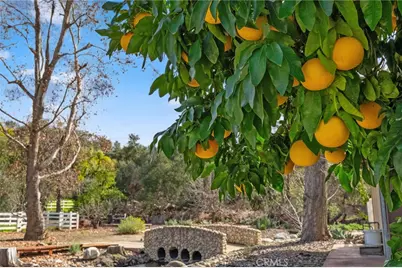 25805 Avenida Del Oro, Temecula, CA 92590 - Photo 69