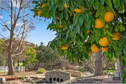 25805 Avenida Del Oro, Temecula, CA 92590 - Photo 69