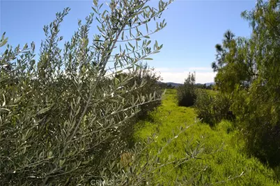 29580 Patelli Way, Menifee, CA 92585 - Photo 17