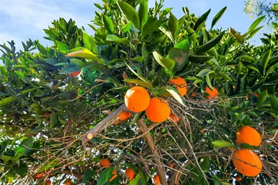 29791 Avenida De Real, Menifee, CA 92586 - Photo 51