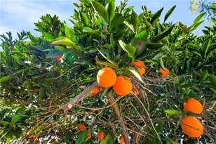 29791 Avenida De Real, Menifee, CA 92586 - Photo 51