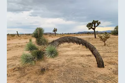 58040 Junipero, Yucca Valley, CA 92284 - Photo 1