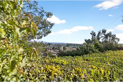 1252 Tamarack, Brea, CA 92821 - Photo 43