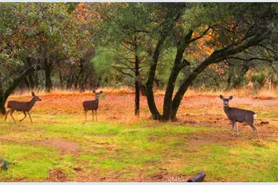 0 Revis Road, Coarsegold, CA 93614 - Photo 3