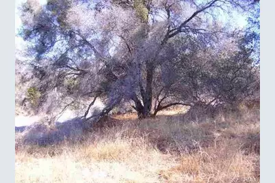 0 Revis Road, Coarsegold, CA 93614 - Photo 17