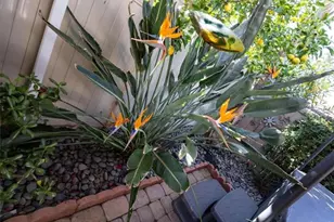 29831 Coral Tree Ct, Menifee, CA 92584 - Photo 39