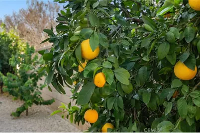 21660 Front, Wildomar, CA 92595 - Photo 53