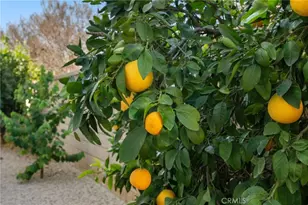 21660 Front, Wildomar, CA 92595 - Photo 53