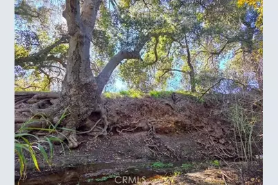 24484 Olive Street, Menifee, CA 92584 - Photo 41