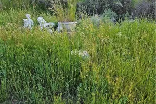 27375 Sycamore Mesa Rd, Temecula, CA 92590 - Photo 5