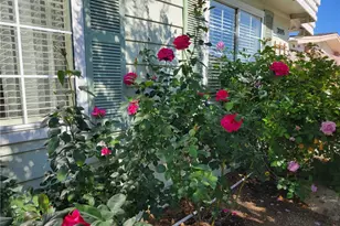 38195 Via Taffia, Murrieta, CA 92563 - Photo 45