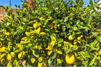 1915 W Saint Gertrude, Santa Ana, CA 92704 - Photo 27